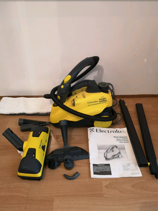 electrolux multi steamer